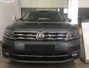 Volkswagen Tiguan   2018 - Cần bán Volkswagen Tiguan sản xuất năm 2018, màu xám, nhập khẩu