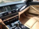 BMW 5 Series 528i 2010 - Xe cũ BMW 528i full option còn mới 90%