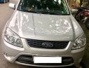 Ford Escape XLS 2010 - Cần bán xe Ford Escape XLS năm sản xuất 2010, màu bạc, giá chỉ 425 triệu