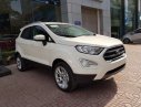 Ford EcoSport 2018 - Bán ô tô Ford EcoSport năm 2018, màu trắng, 545tr