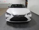 Lexus ES 250 2018 - Bán Lexus ES 250 sản xuất 2018, màu trắng, nhập khẩu