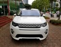 LandRover Discovery Sport HSE Luxury 2016 - Cần bán LandRover Discovery Sport HSE Luxury đời 2016, màu trắng, xe nhập