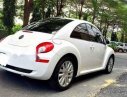 Volkswagen Beetle 2007 - Cần bán Volkswagen Beetle sản xuất 2007, màu trắng, nhập khẩu nguyên chiếc giá cạnh tranh