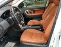 LandRover Discovery Sport HSE Luxury 2016 - Cần bán LandRover Discovery Sport HSE Luxury đời 2016, màu trắng, xe nhập