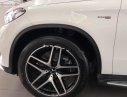 Mercedes-Benz GLE-Class  GLE 43 AMG 4Matic 2018 - Bán Mercedes GLE 43 AMG 4Matic đời 2018, màu trắng, nhập khẩu