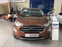 Ford EcoSport 1.0L AT Titanium 2019 - Ford Ecosport Titanium tại Ninh Bình giao ngay, đủ màu, giảm cực mạnh, hỗ trợ 80%, 8 năm - LH: 033.613.5555