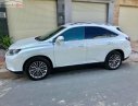 Lexus RX 350 2010 - Cần bán Lexus RX 350 đời 2010, màu trắng, xe nhập