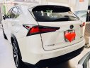 Lexus NX 300 2017 - Cần bán xe Lexus NX 300 đời 2017, màu trắng, nhập khẩu nguyên chiếc  