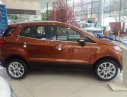 Ford EcoSport   Titanium 1.0L AT 2019 - Bán Ecosport 2019 đủ màu và phiên bản, chỉ cần 200 triệu đồng nhận ngay chuyên gia đường phố - Call 0974286009