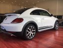 Volkswagen Beetle  Dune 2018 - Volkswagen Beetle Beetle Dune sản xuất 2018, màu trắng, nhập khẩu, hỗ trợ vay 80%