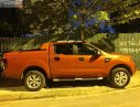 Ford Ranger Wildtrak 2014 - Bán Ford Ranger Wildtrak 2014 tự động, quá mới, biển víp