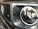 Mercedes-Benz G class AMG G63 Edition One 2018 - Bán Mercedes- Benz AMG G63 Edition One 2018