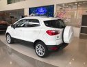 Ford EcoSport 1.5L AT Titanium 2018 - Ford Ecosport Titanium tại Hải Dương giao ngay, đủ màu, giảm cực mạnh, hỗ trợ 80%, 8 năm - LH: 033.613.5555