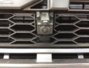 Ford F 150 Raptor V6 3.5L 2018 - Bán xe Ford F 150 Raptor V6 3.5L đời 2018, màu đen, nhập khẩu nguyên chiếc