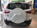 Ford EcoSport 1.5L AT Titanium 2018 - Ford Ecosport Titanium tại Hải Dương giao ngay, đủ màu, giảm cực mạnh, hỗ trợ 80%, 8 năm - LH: 033.613.5555