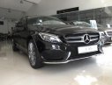 Mercedes-Benz C class 2018 - Bán Mercedes sản xuất 2018, Đủ màu, can kết ưu đãi tốt nhất