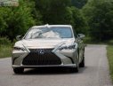 Lexus ES 250 2018 - Bán ô tô Lexus ES 250 sản xuất năm 2018, màu vàng, xe nhập