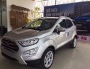 Ford EcoSport 2018 - Bán Ford Ecosport AT 2018, màu bạc, giá chỉ 558 triệu, xe có sẵn giao ngay, giá tốt nhất miền bắc. Lh 0969016692