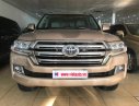 Toyota Land Cruiser VX 2016 - Bán xe Toyota Land Cruiser VX sản xuất năm 2016, màu vàng, nhập khẩu, xe đẹp