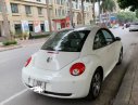 Volkswagen New Beetle  1.6AT 2009 - Bán ô tô Volkswagen New Beetle đời 2010, màu trắng, nhập khẩu nguyên chiếc chính chủ