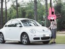 Volkswagen New Beetle  1.6AT 2009 - Bán ô tô Volkswagen New Beetle đời 2010, màu trắng, nhập khẩu nguyên chiếc chính chủ