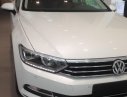 Volkswagen Passat 2017 - Cần bán lại xe Volkswagen Passat đời 2018, màu trắng, nhập khẩu nguyên chiếc số tự động