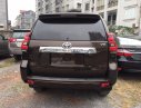 Toyota Land Cruiser Prado VX 2018 - Cần bán xe Toyota Prado VX năm sản xuất 2018, màu nâu, nhập khẩu nguyên chiếc