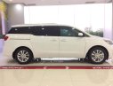 Kia Sedona Platinum D 2018 - Bán Sedona Platinum D 2019, giá 1tỷ 209 triệu, tặng Camera hành trình nhập khẩu Hàn Quốc, liên hệ 0979.508.434 gặp Vinh nhé