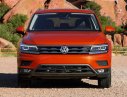 Volkswagen Tiguan 2018 - Cần bán Volkswagen Tiguan 2018, nhập khẩu