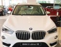 BMW X1 sDrive18i 2018 - Bán ô tô BMW X1 sDrive18i đời 2018, màu trắng, xe nhập