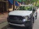 Ford Ranger Wildtrak 2.0 2018 - Bán Ford Ranger Wildtrak 2.0 2018, màu xám, nhập khẩu Thái