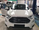 Ford EcoSport 2018 - Bán Ford Ecosport giá chỉ từ 545 triệu + gói KM phụ kiện hấp dẫn, Mr Nam 0934224438 - 0963468416