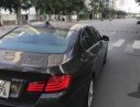 BMW 5 Series 523 2010 - Bán BMW 5 Series 523 sản xuất năm 2010, màu nâu, nhập khẩu