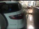 Ford EcoSport   2016 - Bán Ford EcoSport sản xuất năm 2016, màu trắng chính chủ
