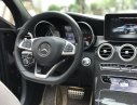 Mercedes-Benz C class C300 AMG 2016 - Bán Mercedes C300 AMG model 2017, màu đen