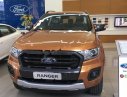 Ford Ranger Wildtrak 2.0L 4x4 AT 2018 - Bán Ford Ranger Wildtrak 2.0L 4x4 AT 2018, nhập khẩu