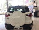 Ford EcoSport 2018 - Cần bán xe Ford EcoSport 2018, màu trắng