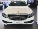 Mercedes-Benz E class E200 2018 - Cần bán xe Mercedes E200 đời 2018, màu trắng