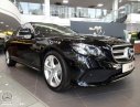 Mercedes-Benz E class  E250   2018 - Cần bán xe Mercedes E250 2018, màu đen, nhập khẩu