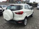 Ford EcoSport  Titanium 1.5L AT 2018 - Cần bán Ford EcoSport Titanium 1.5L AT 2018, màu trắng, xe sẵn, mới 100%, tặng gói phụ kiện hấp hẫn, vay 90% giá xe