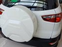 Ford EcoSport 1.5L AT Titanium 2018 - Bán xe Ford EcoSport 1.5L AT Titanium, Trend & Ambiente 2018, KM: BHVC, phim, bệ bước, camera, lót sàn, LH: 093.543.7595