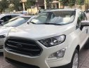 Ford EcoSport  Ambiente 1.5L MT 2018 - Cần bán Ford EcoSport 2018, màu trắng, KM sốc T1 - tặng 1 năm BHTV + Hỗ trợ lăn bánh, nhanh gọn