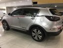 Kia Sportage 2010 - Cần bán lại xe Kia Sportage đời 2010, màu bạc, nhập khẩu