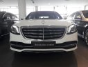 Mercedes-Benz S class 2017 - Bán Mercedes-Benz S450 2018, ưu đãi du xuân 2020