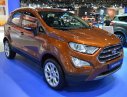 Ford EcoSport  1.0L AT, Ecoboost 2018 - Bán Ecosport 1.0L AT, Ecoboost, đủ màu, giao xe ngay, giá 660 tr