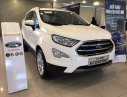 Ford EcoSport  Ambiente 1.5L MT 2018 - Cần bán Ford EcoSport 2018, màu trắng, KM sốc T1 - tặng 1 năm BHTV + Hỗ trợ lăn bánh, nhanh gọn