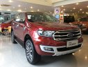 Ford Everest Ambiente 2.0L MT 2018 - Bán Ford Everest Turbo, Ambiente 2018, màu đỏ, nhập khẩu nguyên chiếc, chỉ 999 triệu, hỗ trợ vay 80%