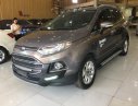 Ford Acononline Titanium 1.5L AT 2016 - Bán Ford Ecosport Titanium 1.5L AT 2016 xe cực lướt, cực mới