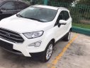 Ford EcoSport 2018 - Bán xe Ecosport giao ngay, giá thấp nhất thị trường, ưu đãi ngân hàng