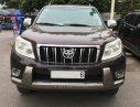 Toyota Prado TXL 2009 - Bán ô tô Toyota Prado TXL model 2010, sản xuất 2009, màu đỏ đun, nhập khẩu nguyên chiếc